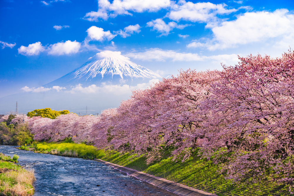 Mount Fuji and lake